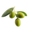 Organic Olive Oil