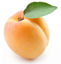Organic Apricot Kernel Oil