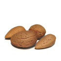 Organic Sweet Almond Oil